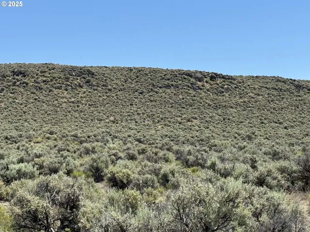 a view of a dry yard with mountains in the background