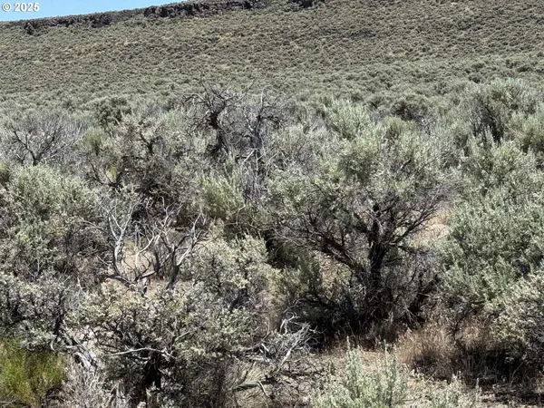 a black and white photo of a bathroom