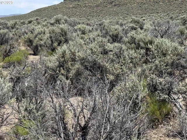 $15,000 | Butte Valley Road, Unit 500, Riley, OR 97758