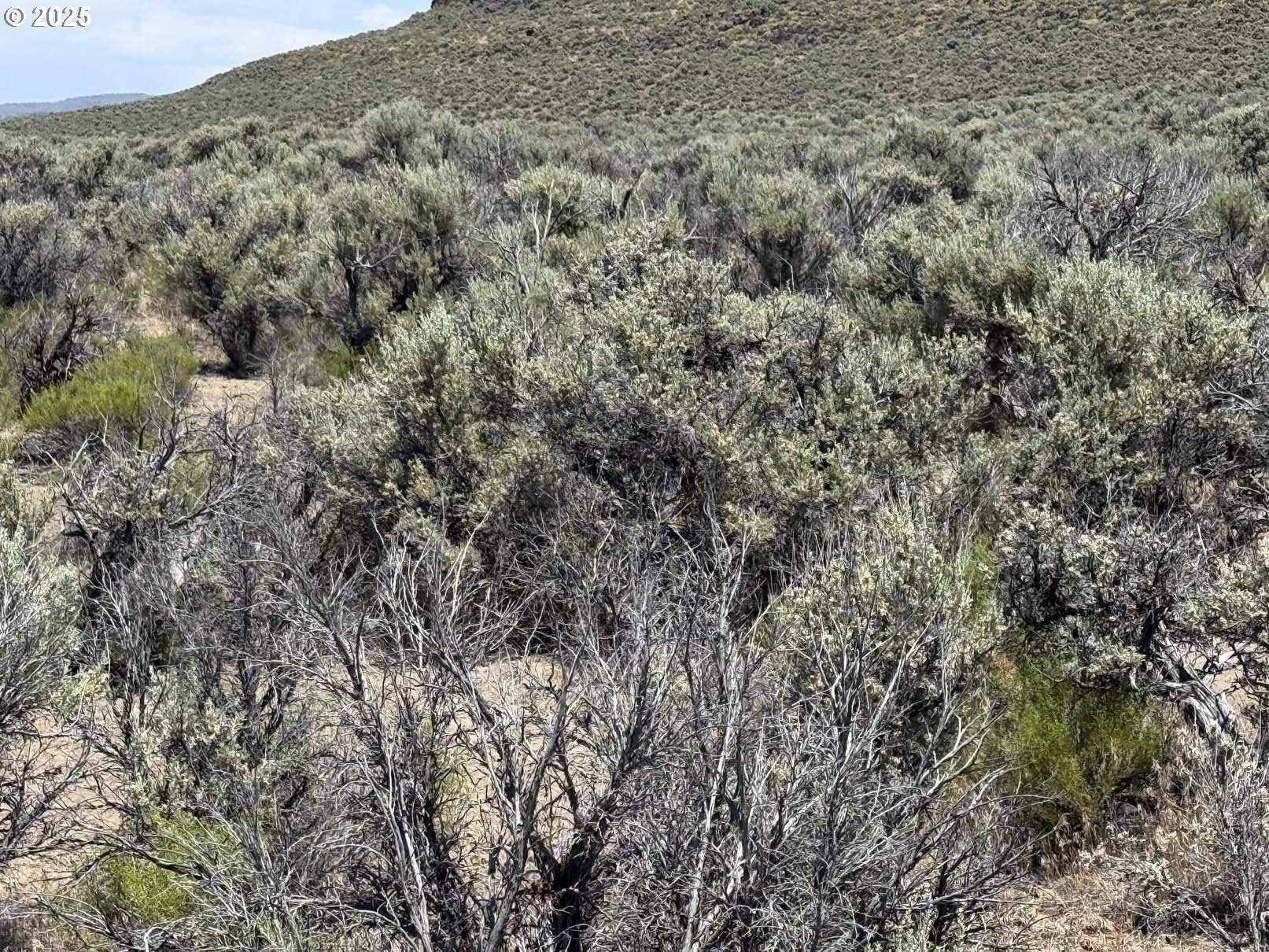 Butte Valley Road, Unit 500 Riley, OR 97758 - Photo 36 of 42