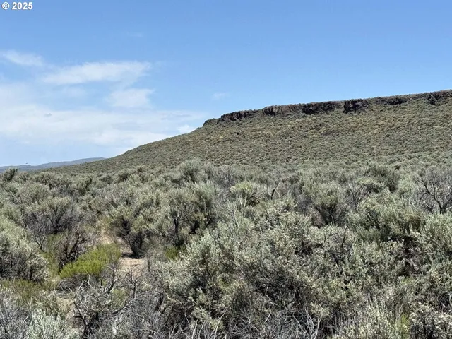 $15,000 | Butte Valley Road, Unit 500, Riley, OR 97758