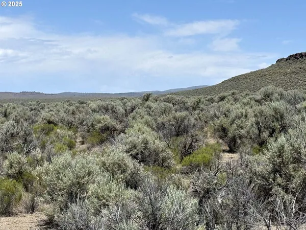 $15,000 | Butte Valley Road, Unit 500, Christmas Valley, OR 97641