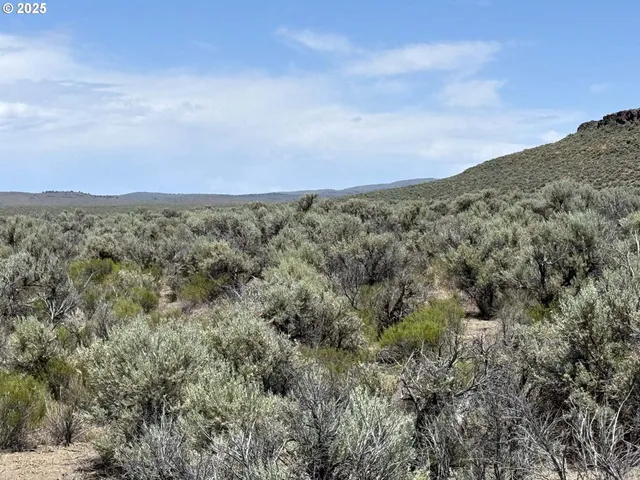 $15,000 | Butte Valley Road, Unit 500, Riley, OR 97758