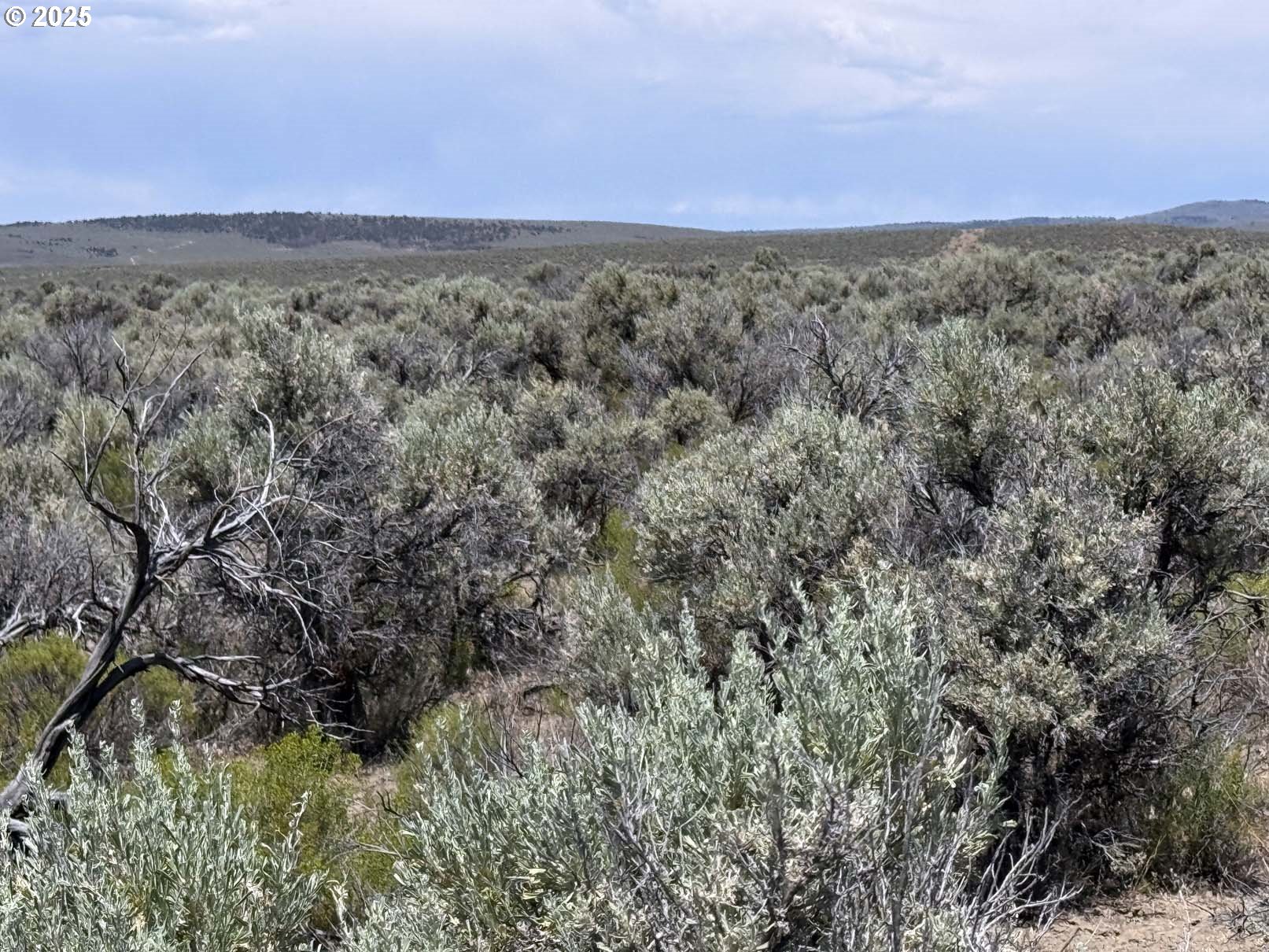 Butte Valley Road, Unit 500 Riley, OR 97758 - Photo 4 of 42