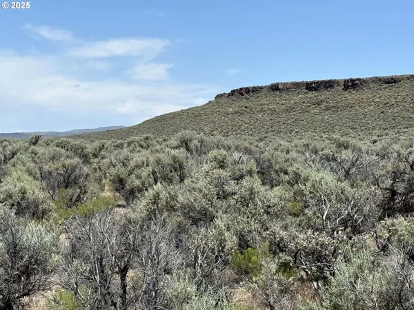 a view of a field with an ocean