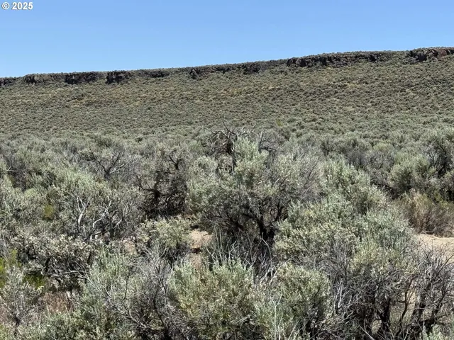 a view of an ocean beach