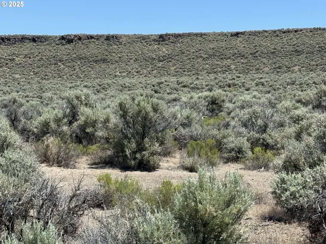 a view of a building