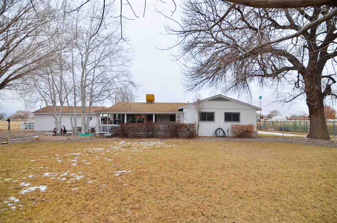 a white house that has a tree in front of it