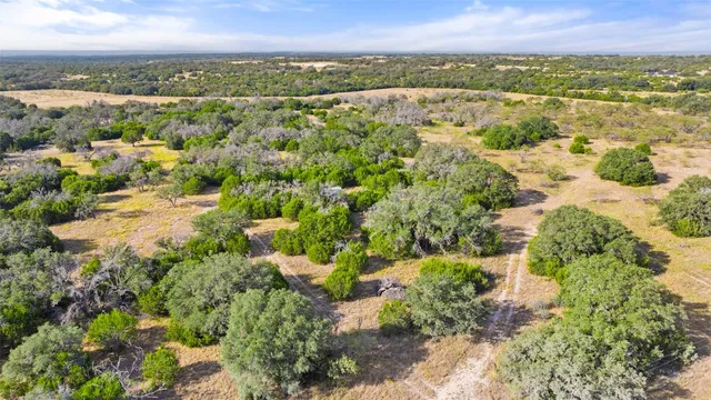a view of a city with lush green forest