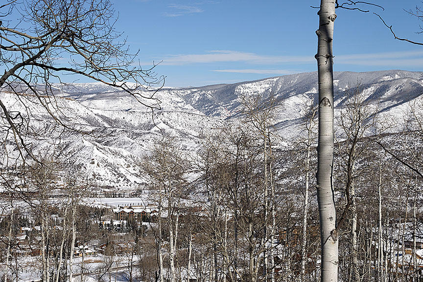 47 North Ridge Lane, Unit B Snowmass Village, CO 81615 - Photo 14 of 18 a close up of a tree in the street