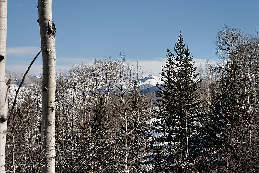 47 North Ridge Lane, Unit B Snowmass Village, CO 81615 - Photo 16 of 18 a view of a forest