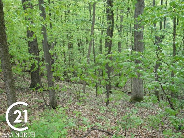 4920 General Squier Road Dryden, MI 48428 - Photo 26 of 26