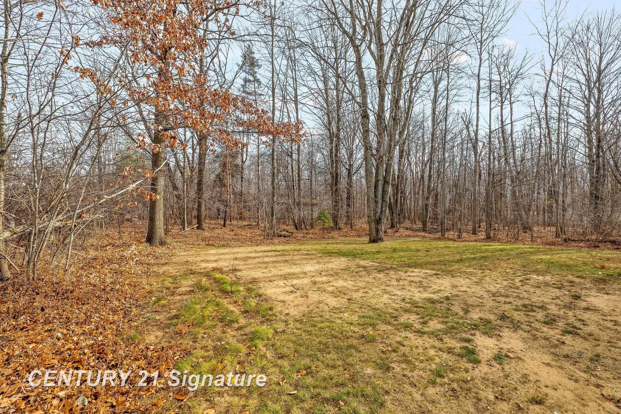3029 South Homer Road Merrill, MI 48637 - Photo 11 of 49