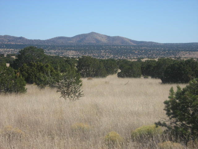 Lot 188 Pinon Springs Ranch Magdalena, NM 87825 - Photo 5 of 10 Gallery Image 5