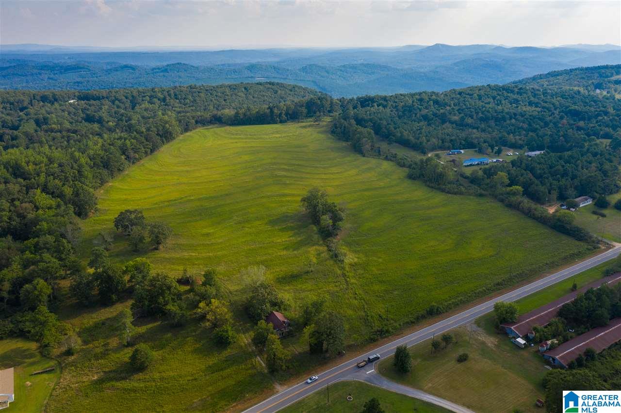 0 County Road 27, Unit 46 ACRES Springville, AL 35146 - Photo 7 of 11