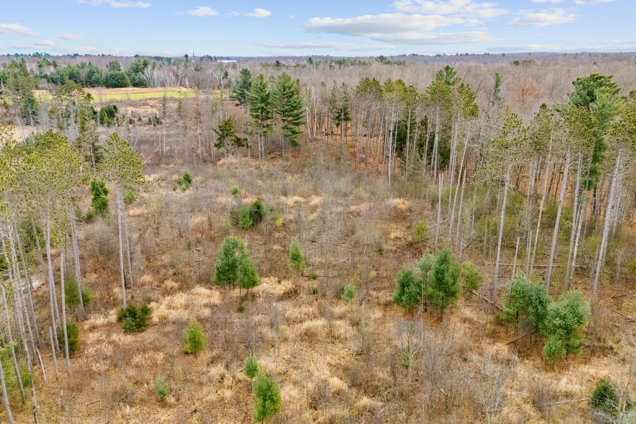 Tbd 110th Street Luck, WI 54853 - Photo 11 of 13