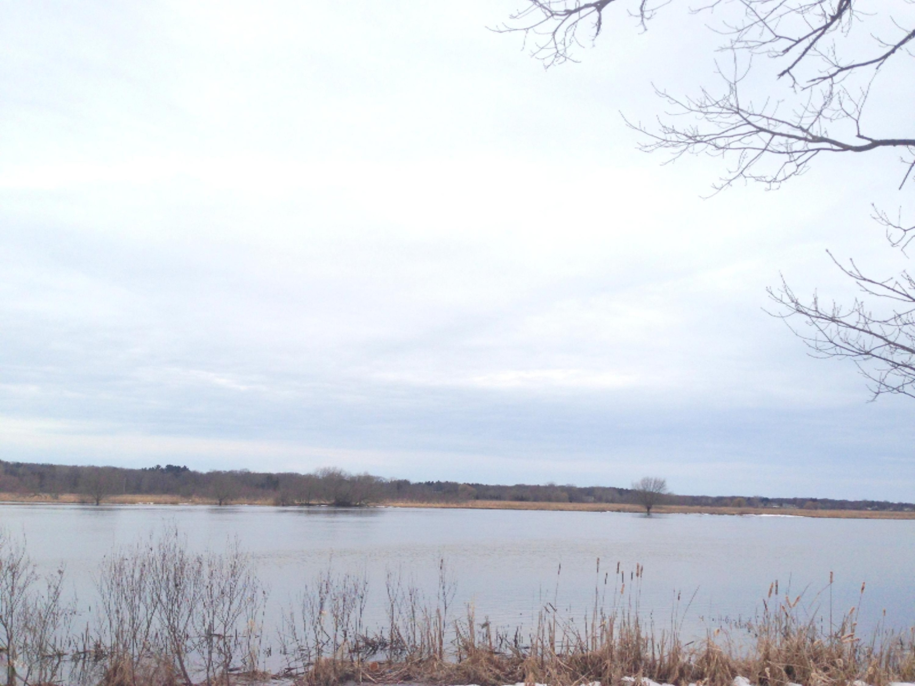 Boom Road Spring Lake, MI 49456 - Photo 3 of 5 photo 1.JPG