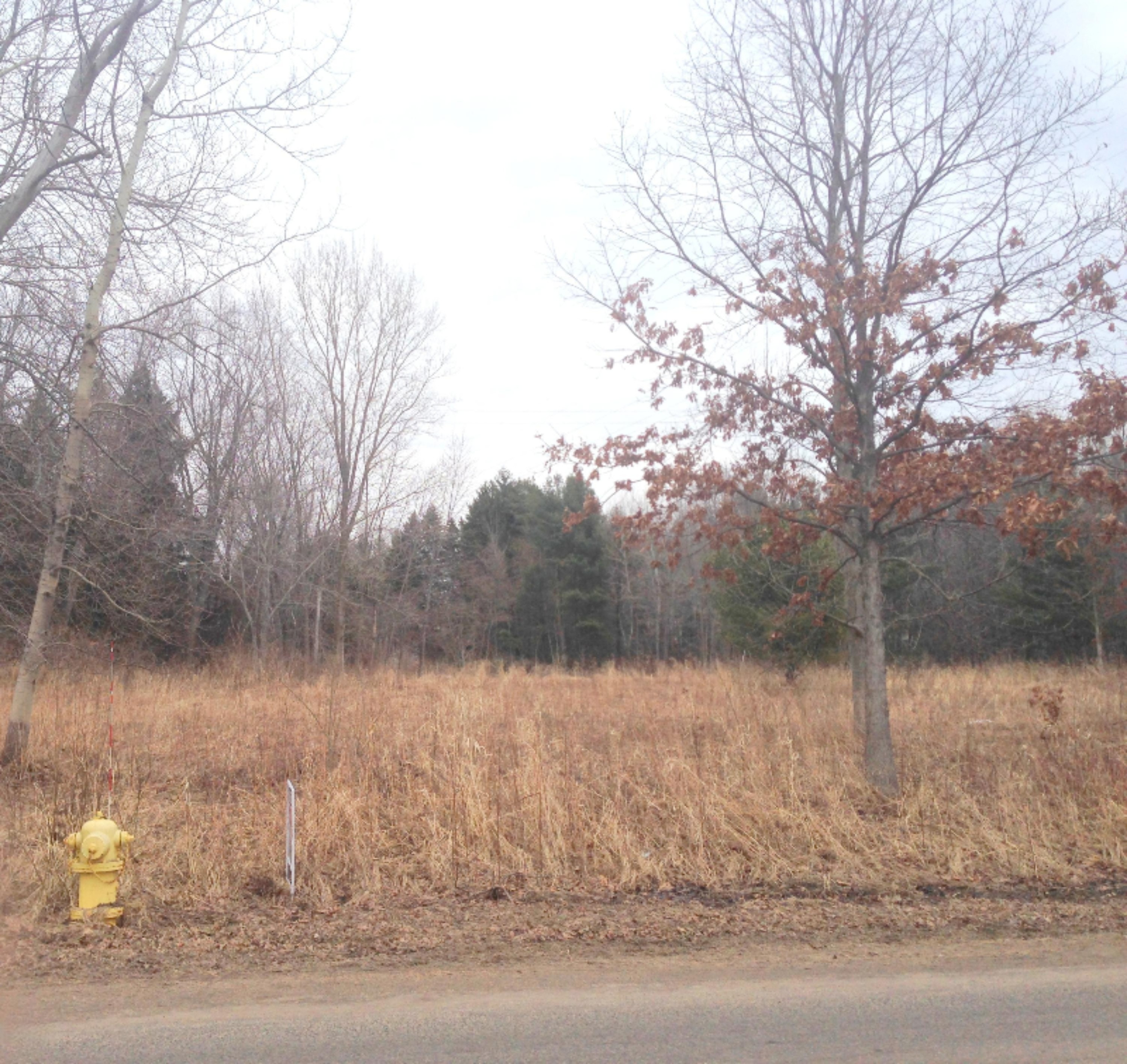 Boom Road Spring Lake, MI 49456 - Photo 4 of 5 photo 2.JPG
