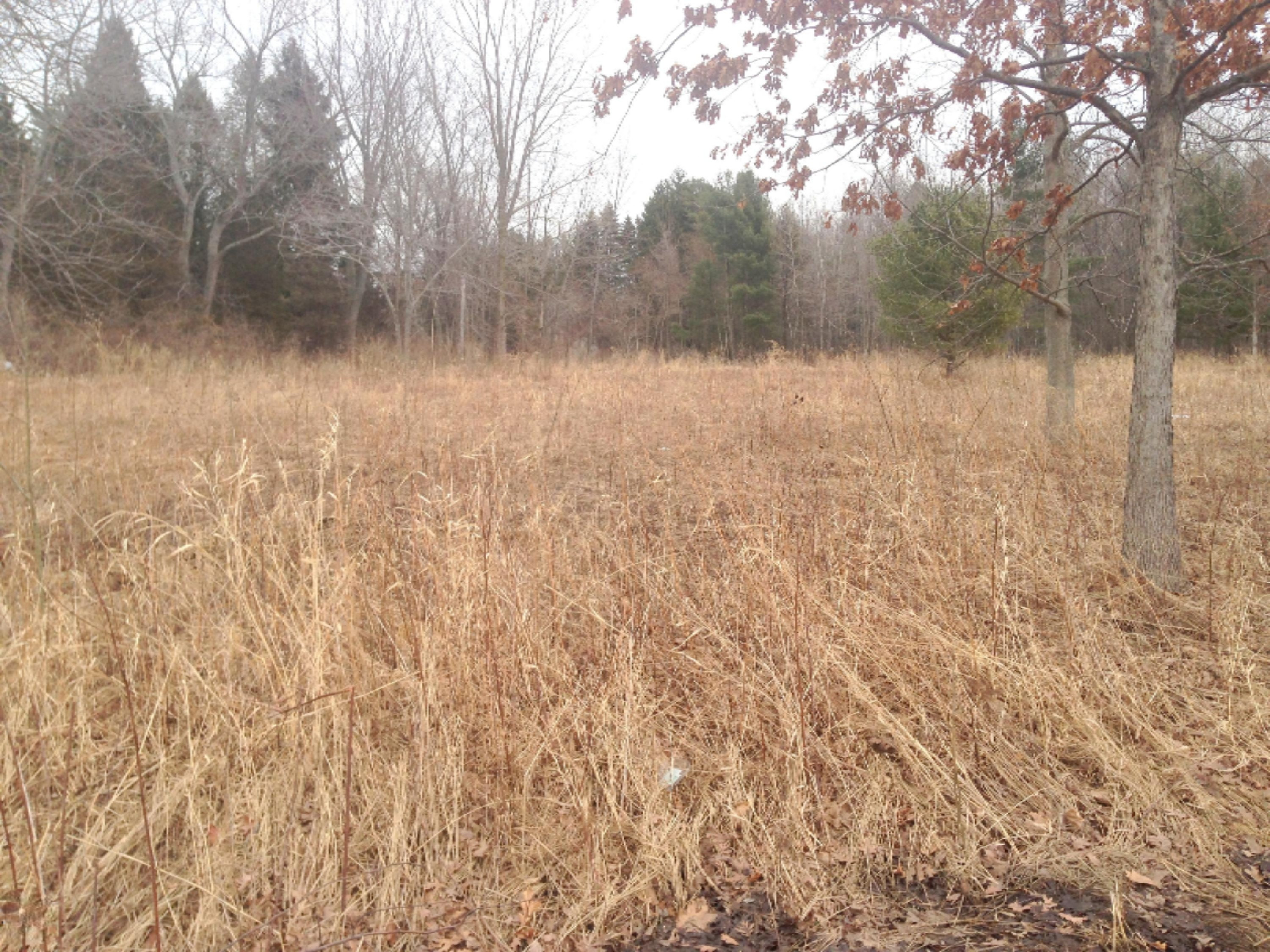 Boom Road Spring Lake, MI 49456 - Photo 5 of 5 photo 3.JPG