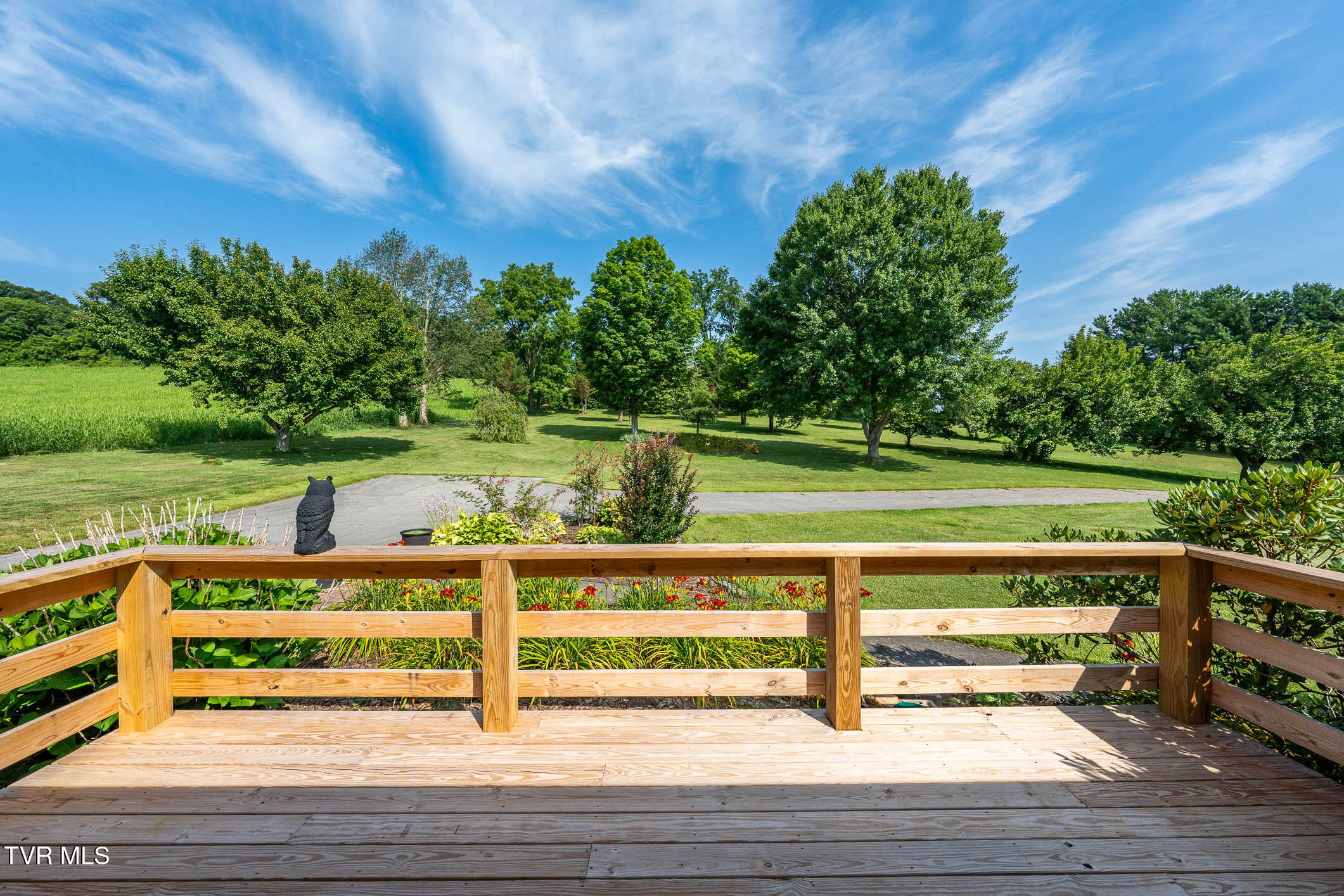 2743 Carroll Creek Road Gray, TN 37615 - Photo 52 of 92 2743 Carroll Creek Rd (59 of 98)