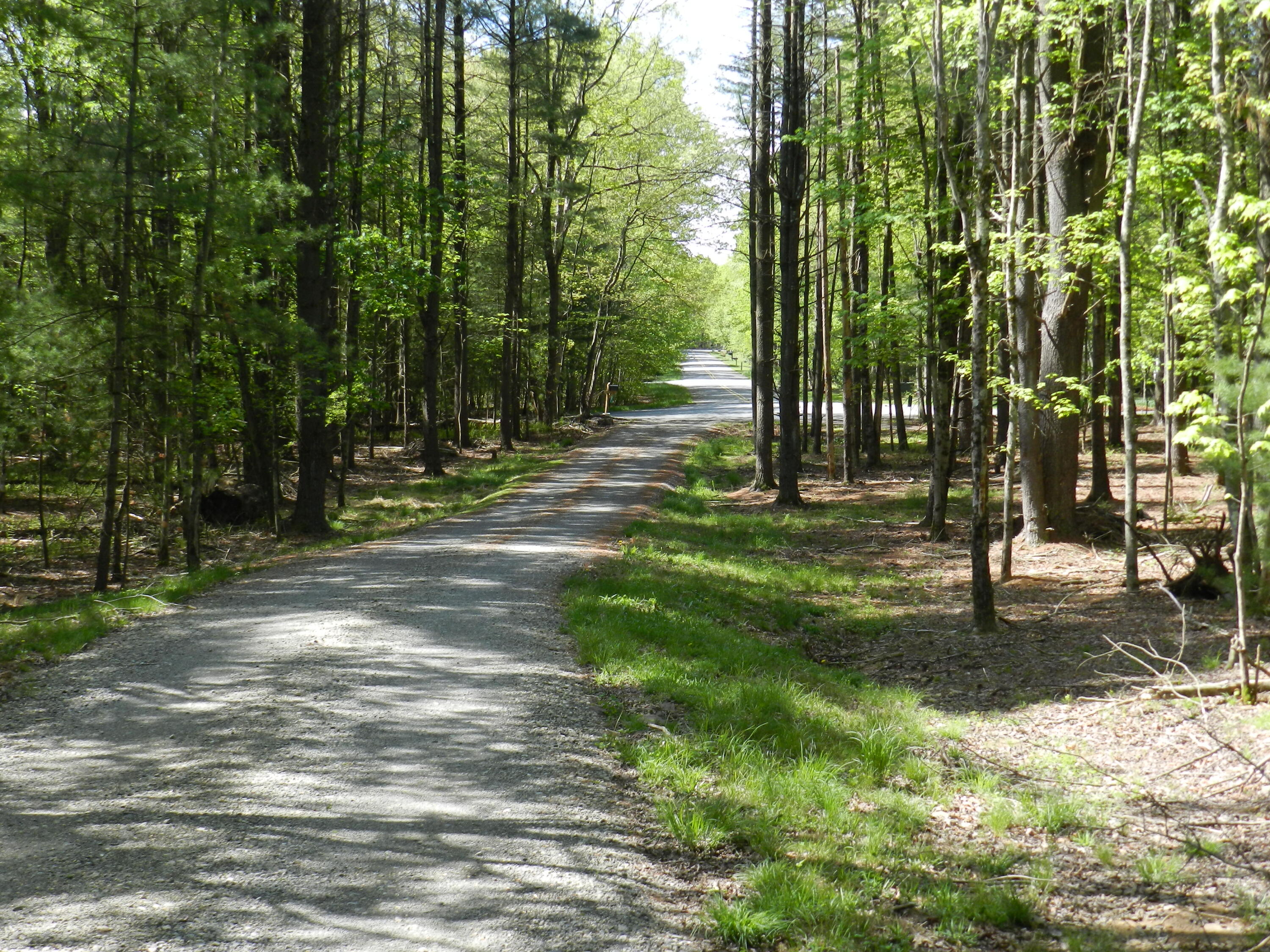 154 Sterner Run Road Kunkletown, PA 18058 - Photo 104 of 104 Exit to Cul-de-sac