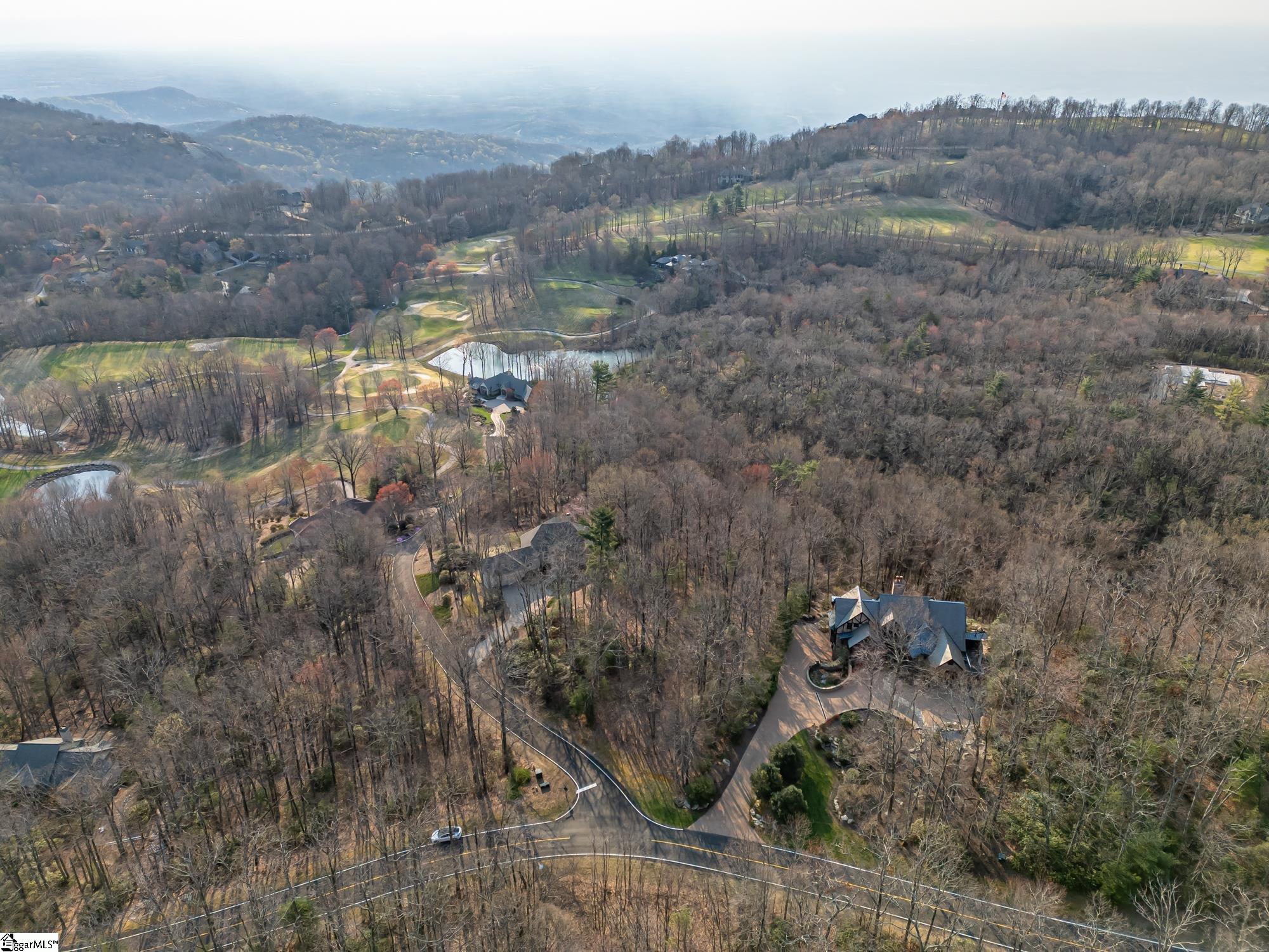 2 Park Green Way Landrum, SC 29356 - Photo 18 of 23