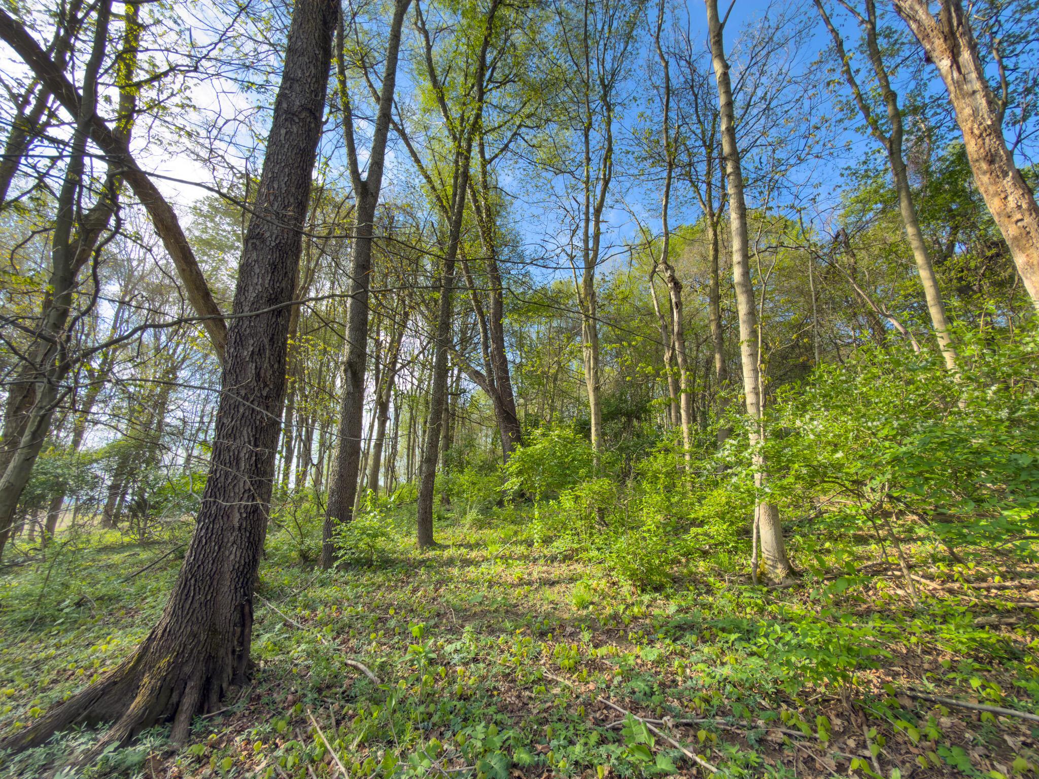 9874 Cincinnati-Zanesville Road Southwest Amanda, OH 43102 - Photo 19 of 50 cinci-zane rd sw-19