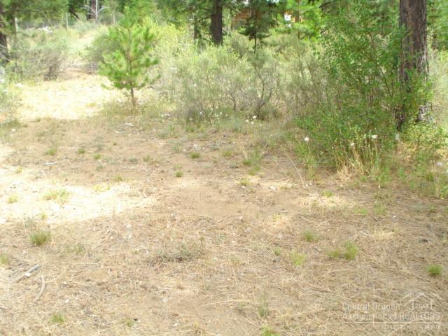 16850 Downey Road Bend, OR 97707 - Photo 16 of 16 Additional Photo