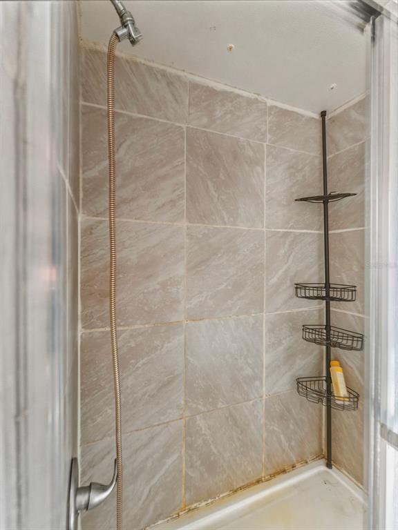 7275 Knowles Road Polk City, FL 33868 - Photo 17 of 39 a bathroom with a shower