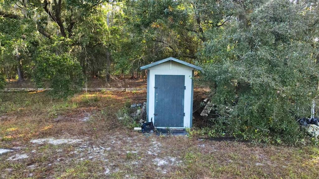 7275 Knowles Road Polk City, FL 33868 - Photo 32 of 39 a view of a wooden house with a yard and large trees