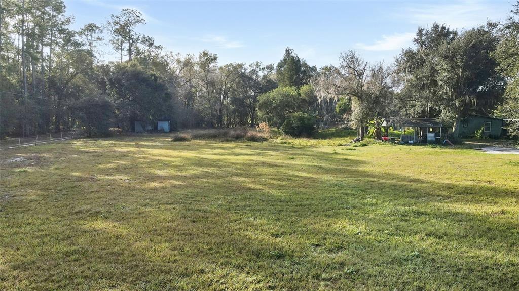 7275 Knowles Road Polk City, FL 33868 - Photo 34 of 39 a view of a yard with a trees