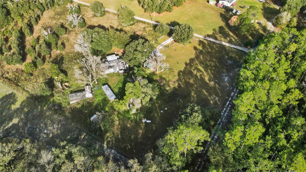 7275 Knowles Road Polk City, FL 33868 - Photo 37 of 39 a view of a tree