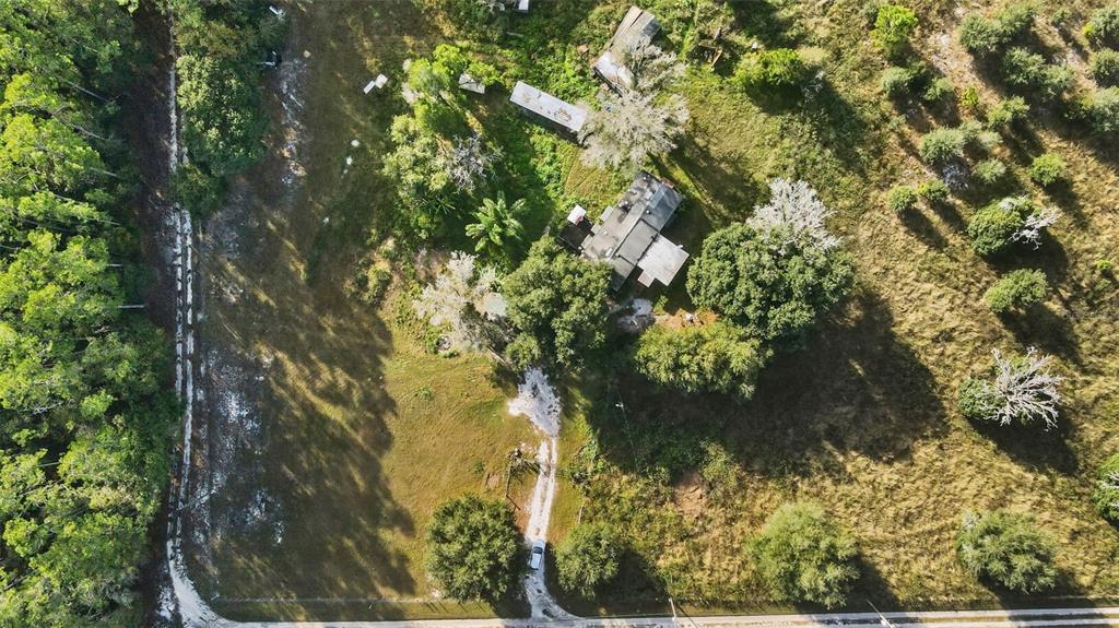 7275 Knowles Road Polk City, FL 33868 - Photo 39 of 39 a picture of tree