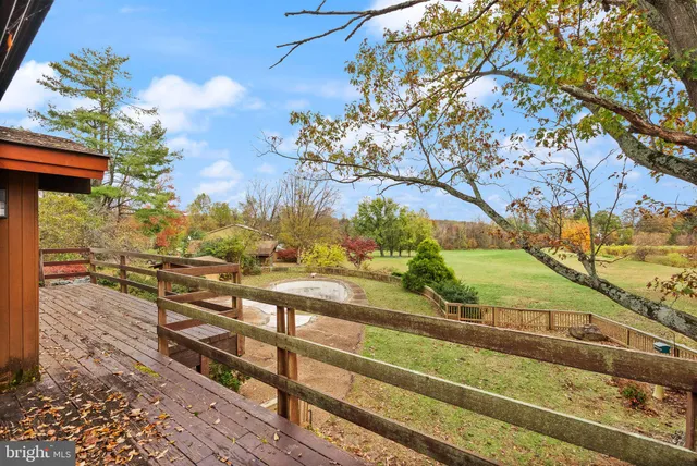 a view of yard with trees