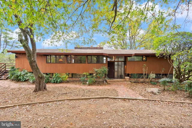 a view of a yard with plants and trees