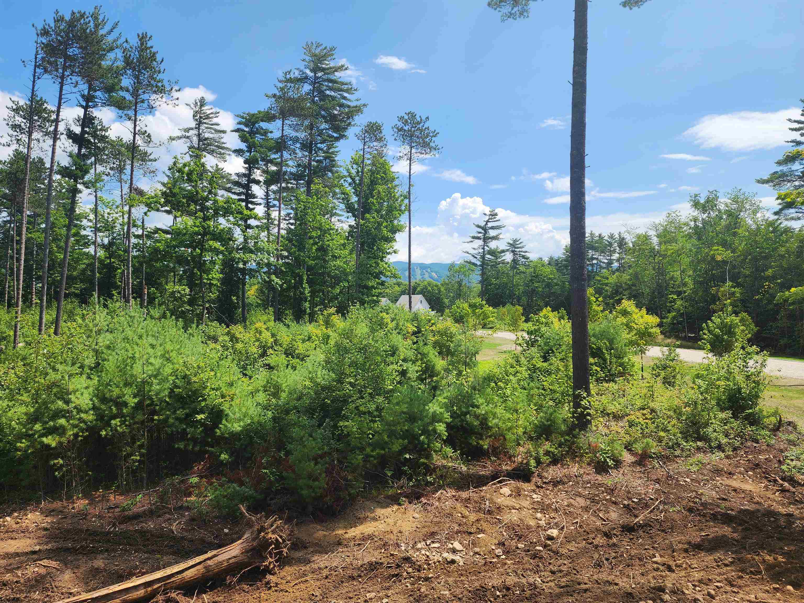 5 Lucy Brook Road, Unit 5 North Conway, NH 03860 - Photo 28 of 51