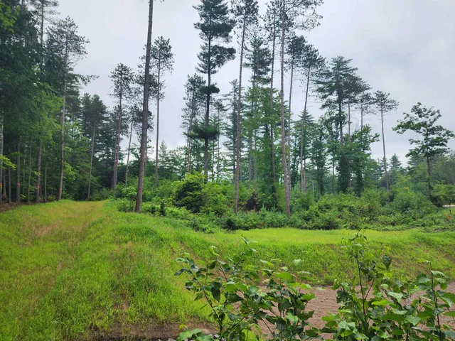 $1,295,000 | 5 Lucy Brook Road, Unit 5, North Conway, NH 03860