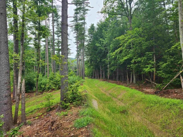 $1,295,000 | 5 Lucy Brook Road, Unit 5, North Conway, NH 03860