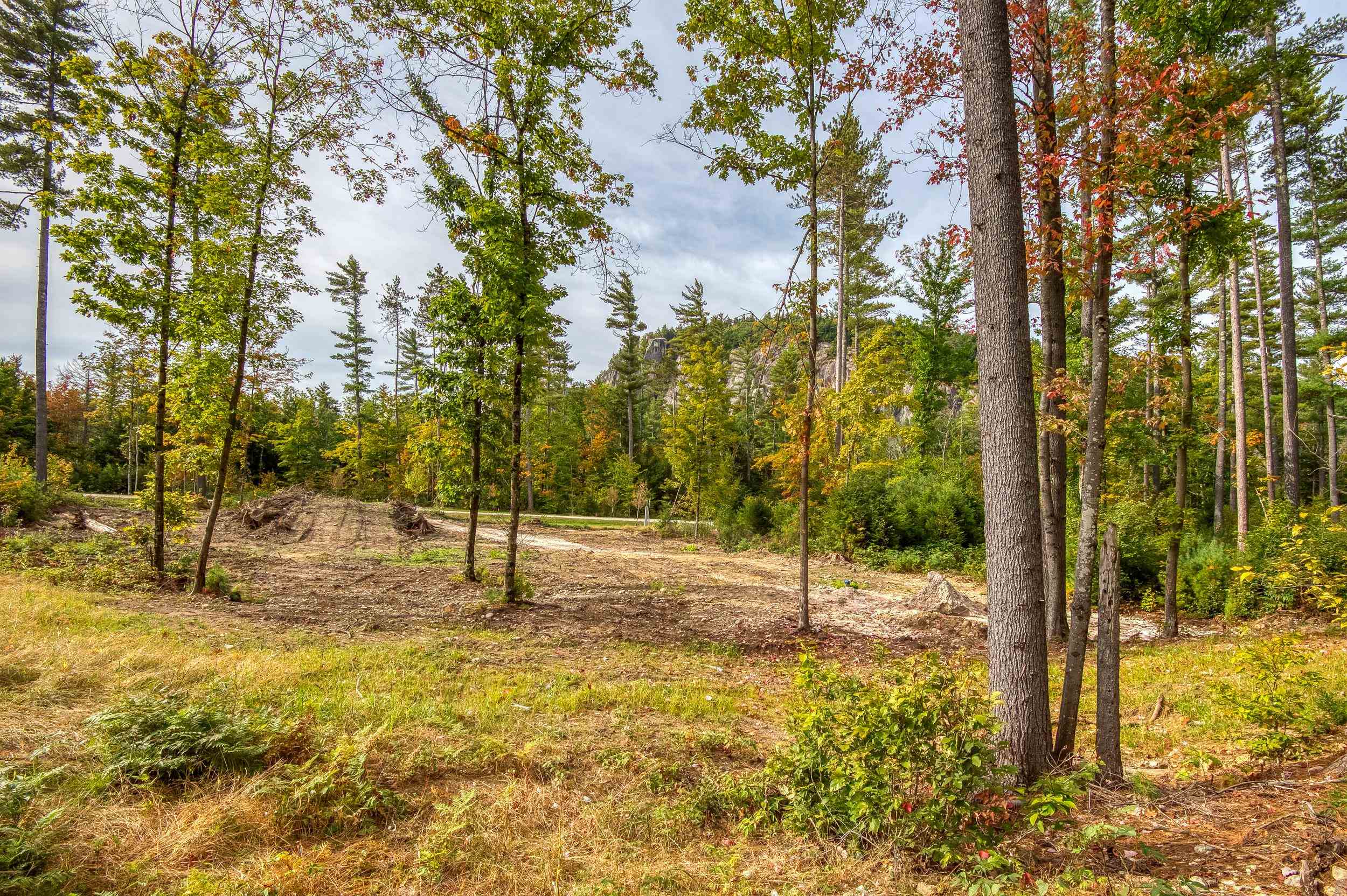 5 Lucy Brook Road, Unit 5 North Conway, NH 03860 - Photo 45 of 51