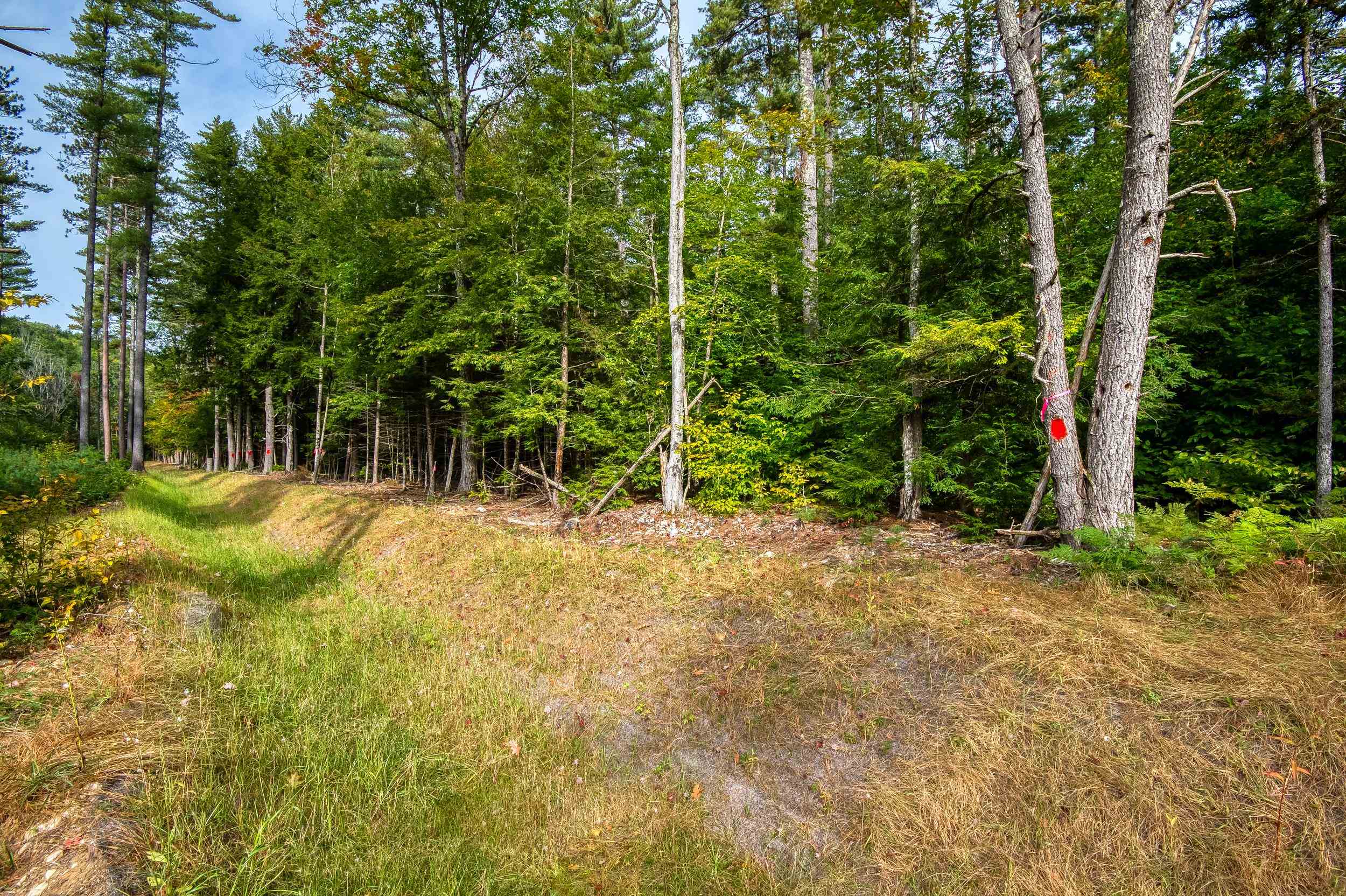 5 Lucy Brook Road, Unit 5 North Conway, NH 03860 - Photo 46 of 51