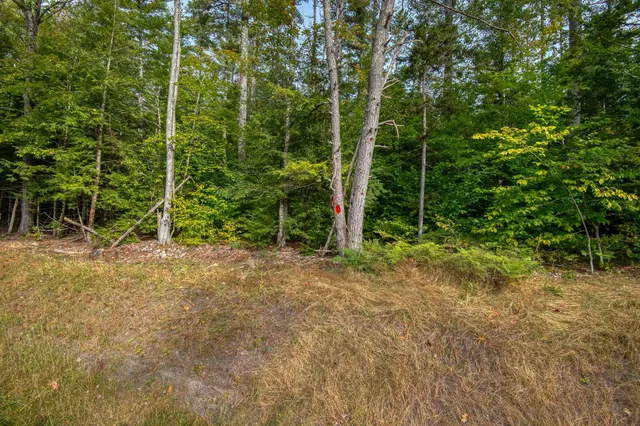 $1,295,000 | 5 Lucy Brook Road, Unit 5, North Conway, NH 03860