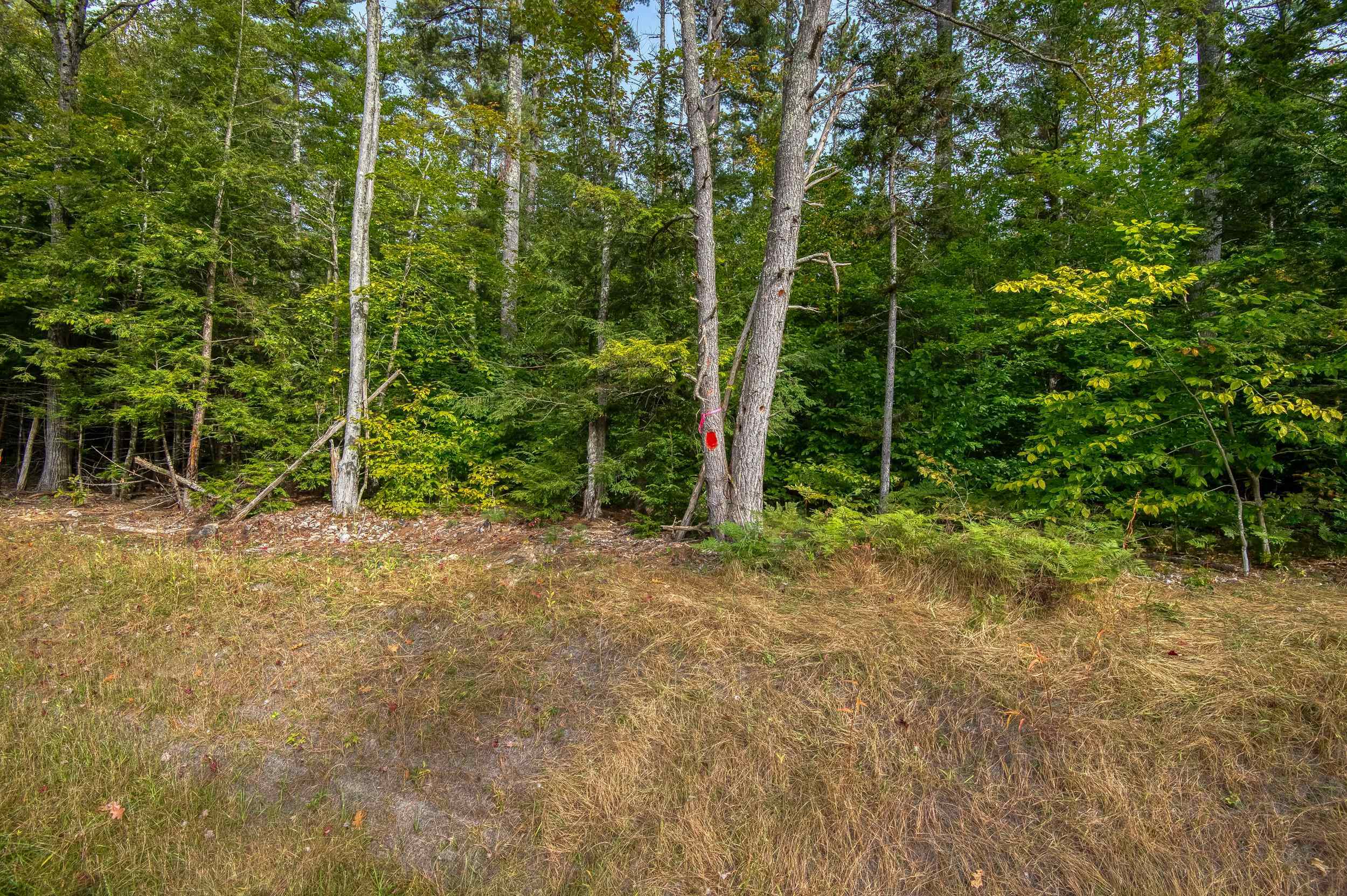 5 Lucy Brook Road, Unit 5 North Conway, NH 03860 - Photo 47 of 51