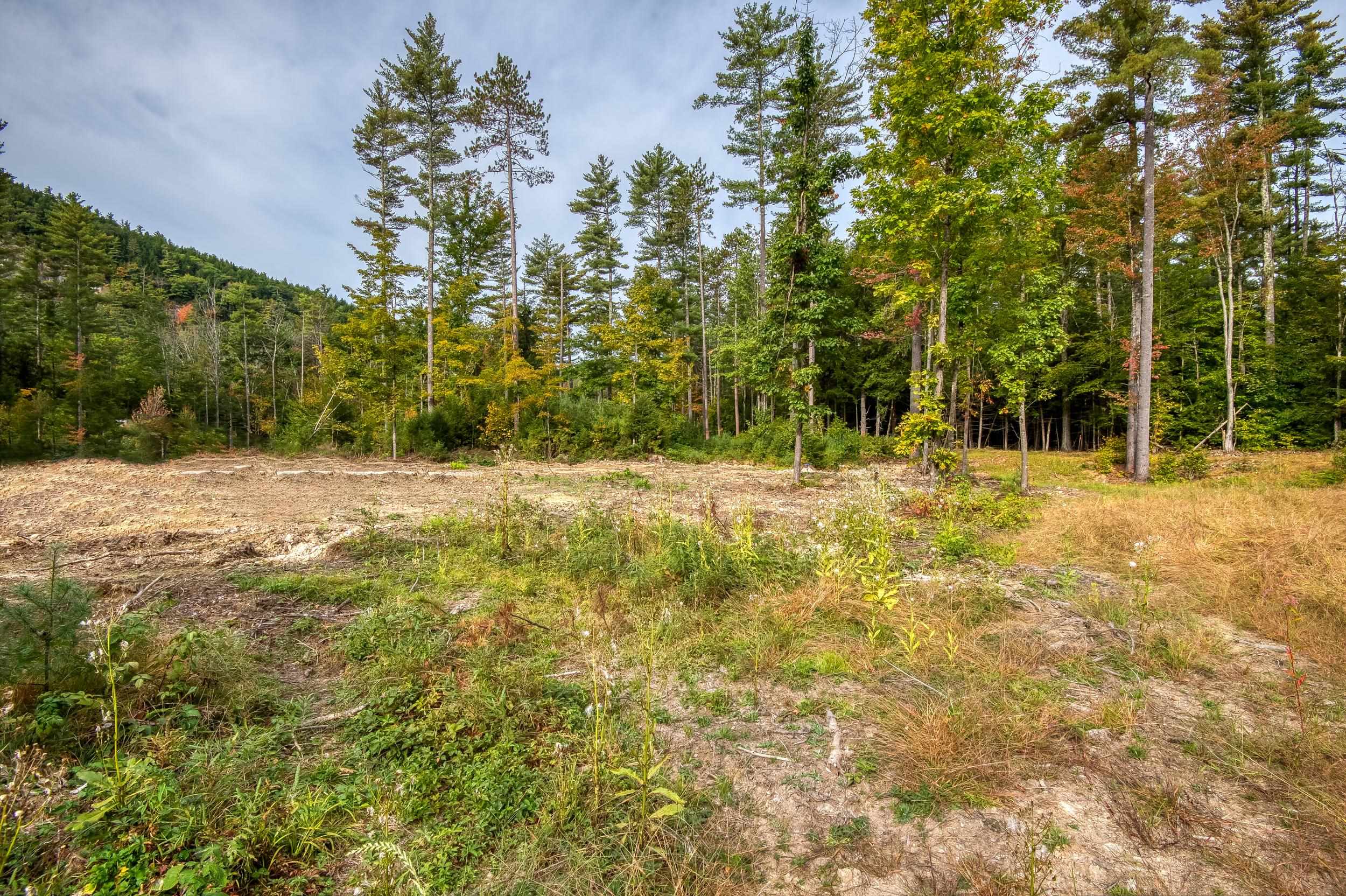 5 Lucy Brook Road, Unit 5 North Conway, NH 03860 - Photo 49 of 51