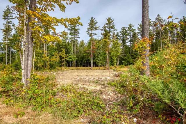 $1,295,000 | 5 Lucy Brook Road, Unit 5, North Conway, NH 03860