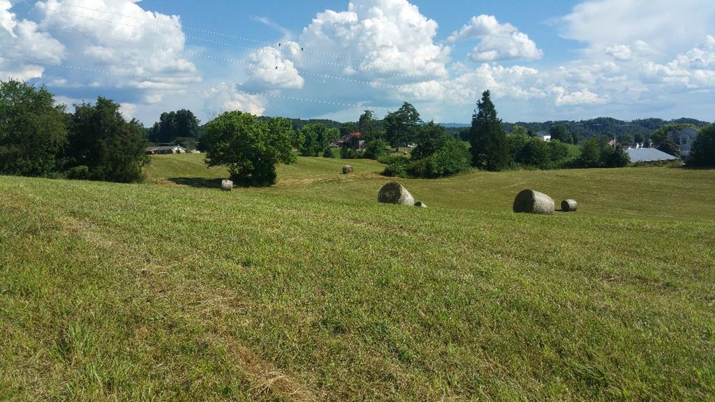 0 Watauga Road, Unit 1 & 2 Abingdon, VA 24211 - Photo 1 of 5 Gallery Image 1