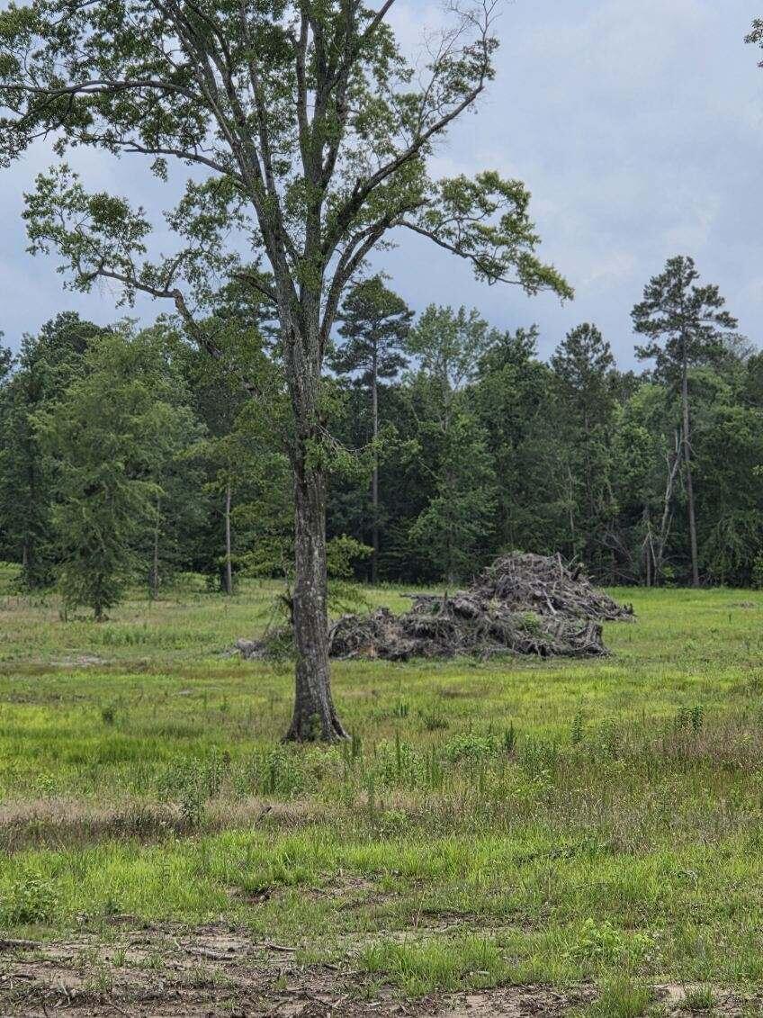 365 Shagbark Way Harlem, GA 30814 - Photo 3 of 3 image000001