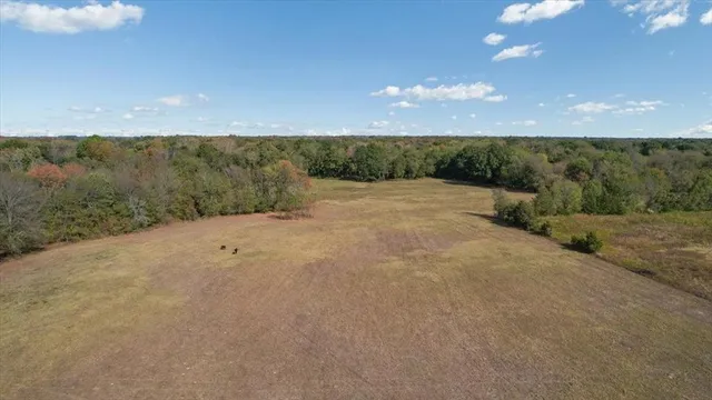an aerial view of residential house and outdoor space