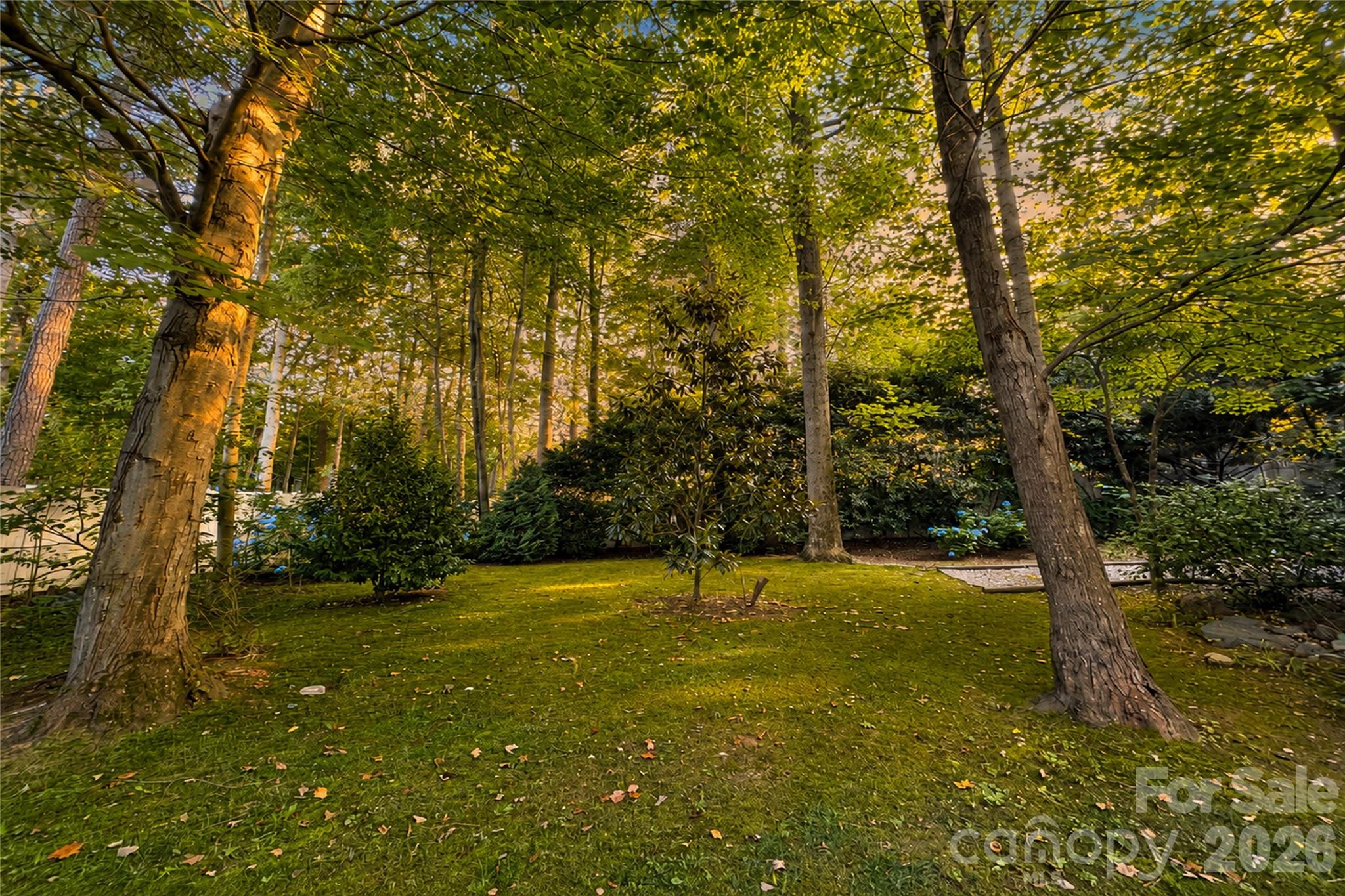 166 Wilson Lake Road Mooresville, NC 28117 - Photo 48 of 48