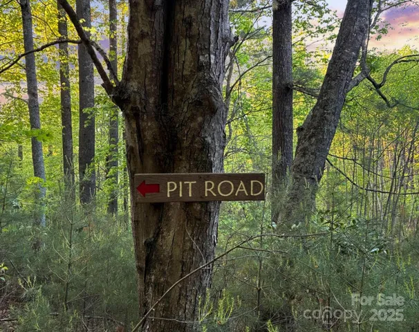 a street sign that is on a tree