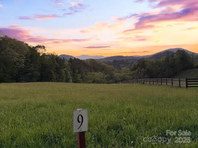 a view of a field with an ocean